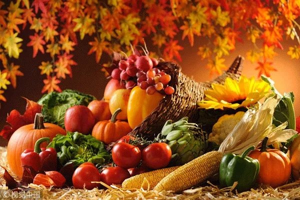 秋天好干燥，怎么吃才好？这份养生攻略请收好