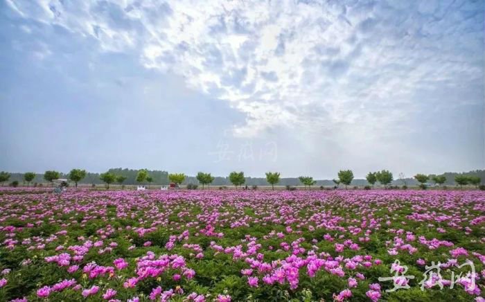 TIM图片20190425111252